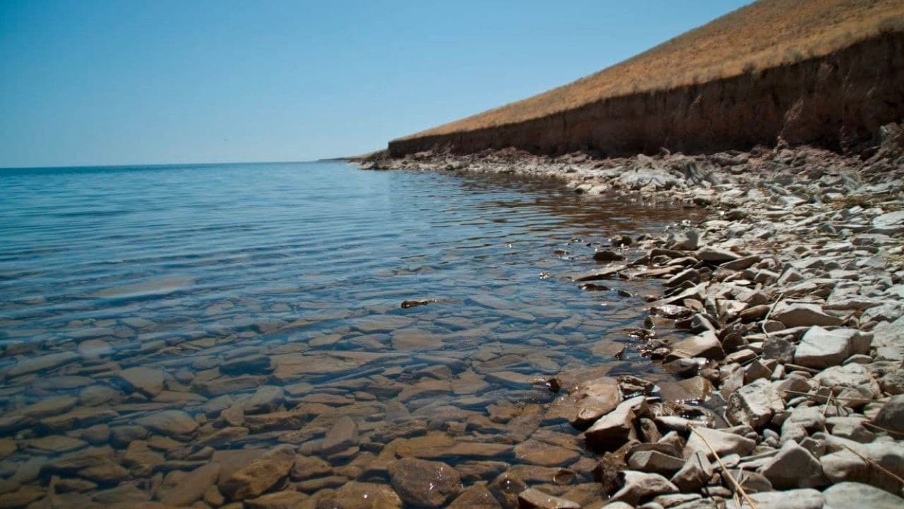 Айдар-Арнасой кўллар тизимида ҳосил бўлган туз қатлами экин майдонларига зарар етказаётгани айтилди