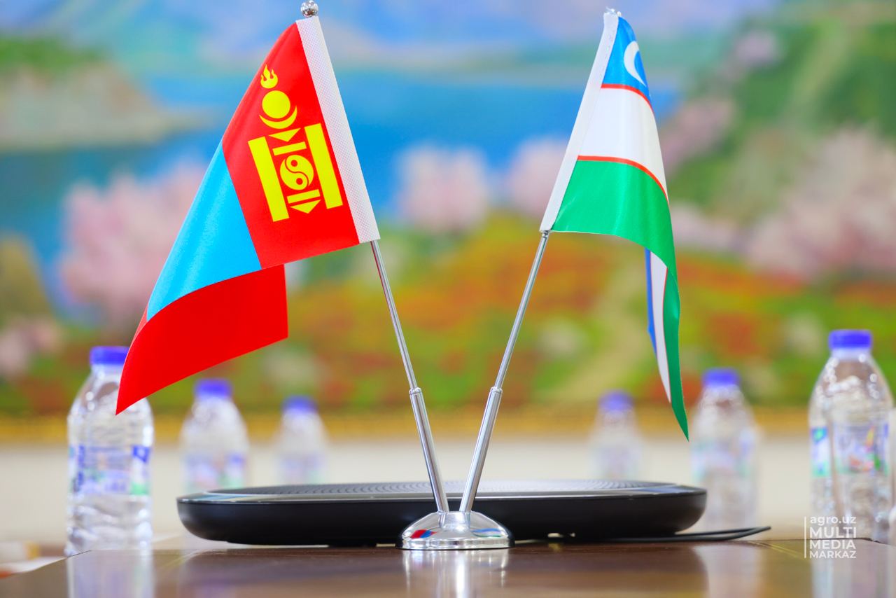 Мўғулистон Ўзбекистонга чартер рейслар орқали гўшт етказиб беришни таклиф қилди