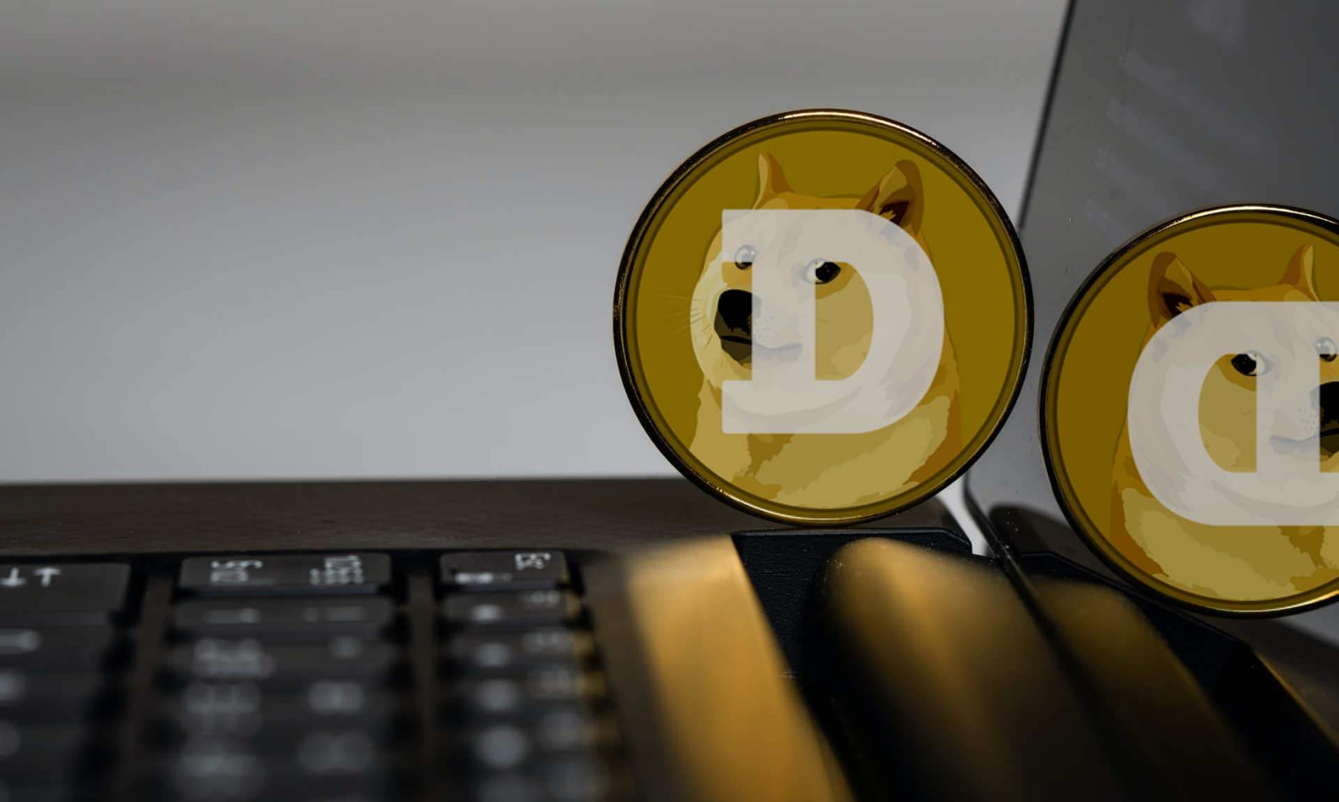 Dogecoin’нинг етти инвестори Илон Маск ва унинг компанияларига қарши судга қўшилди